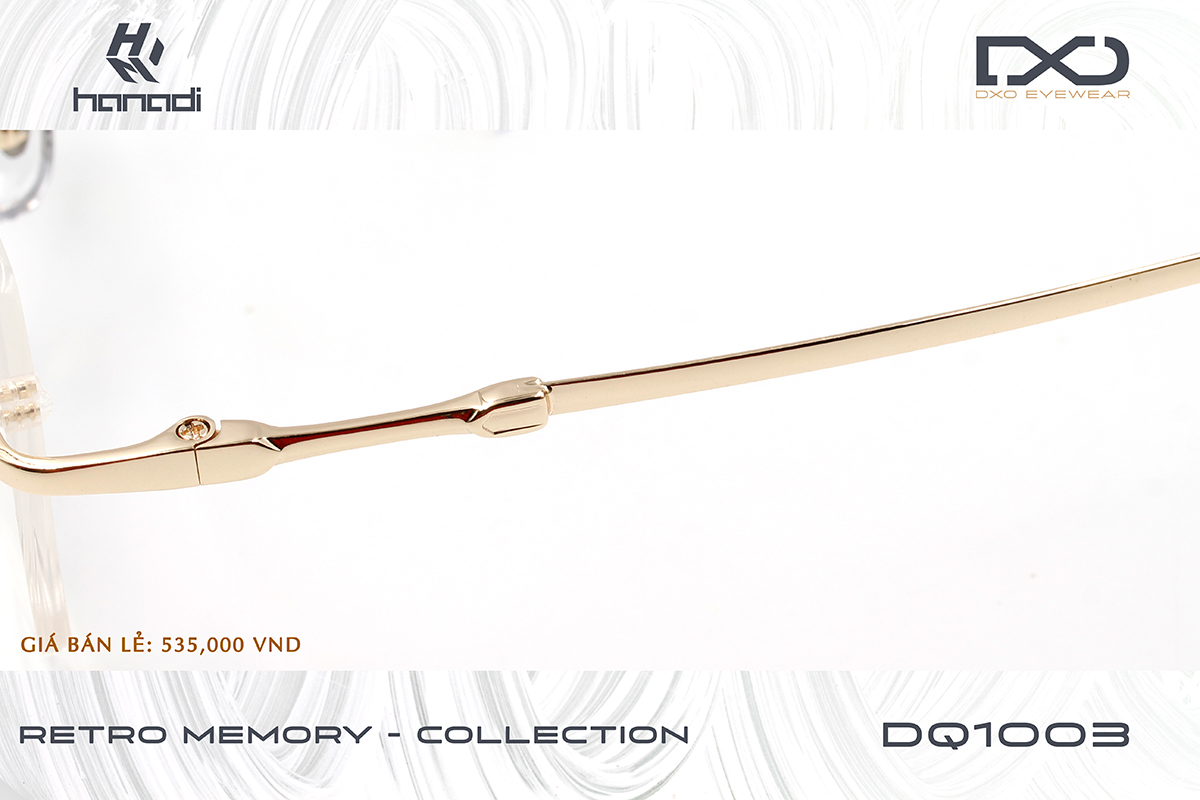 GỌNG TITANIUM DXO DQ1003