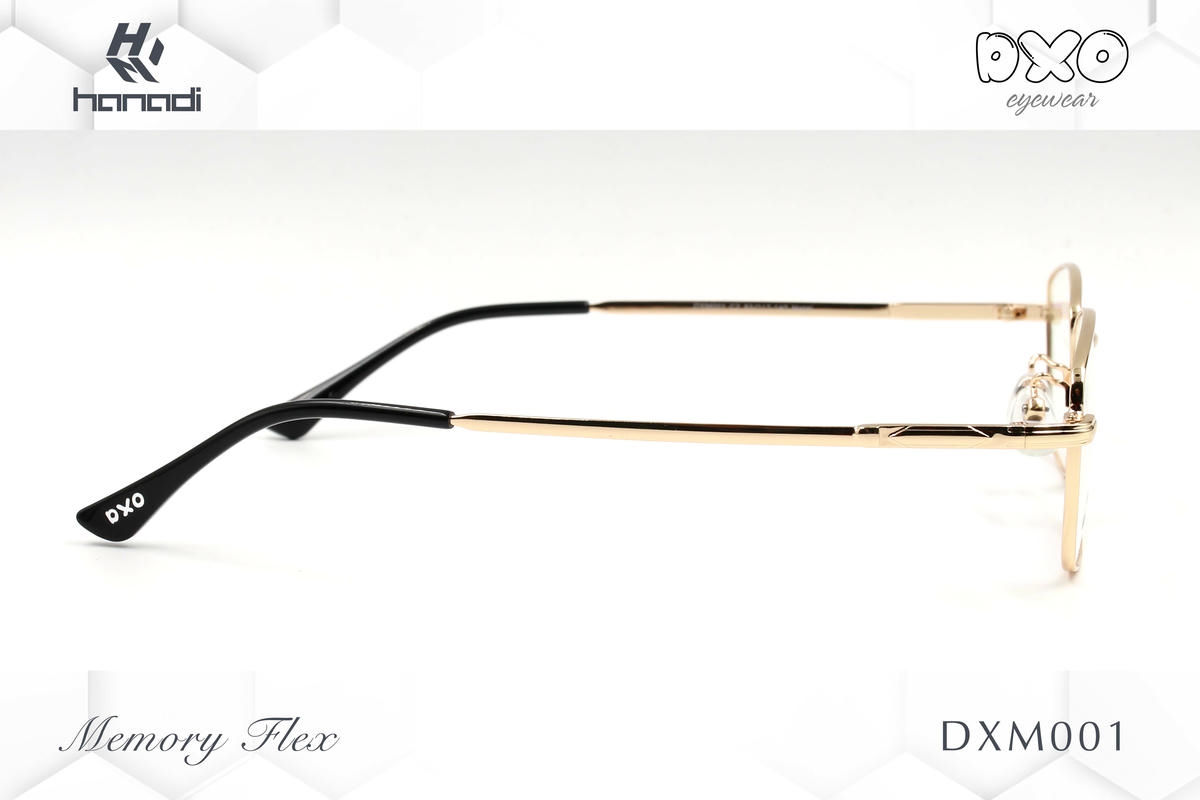 G. DXO MEMORY FLEX DXM001