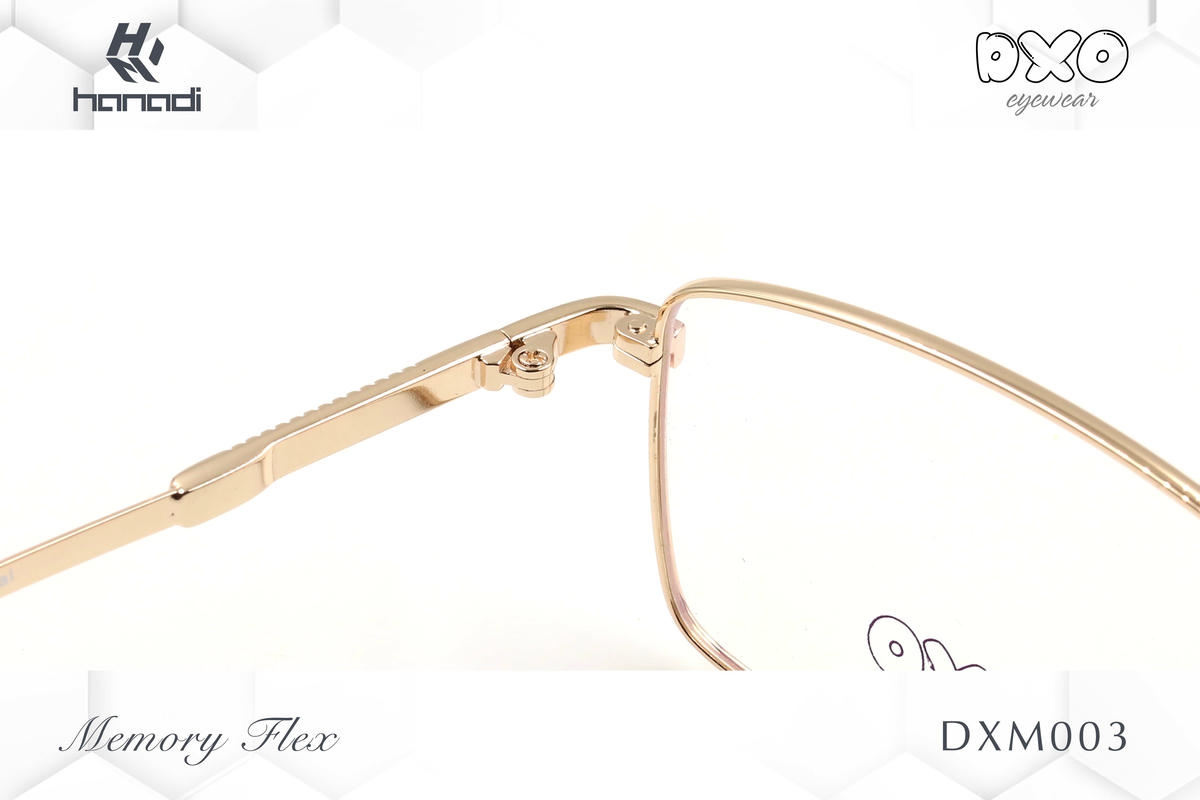 G. DXO MEMORY FLEX DXM003
