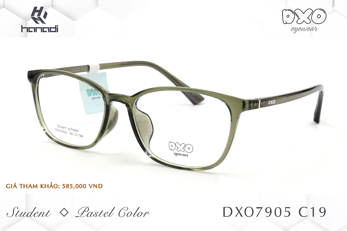 G. DXO STUDENT - PASTEL COLOR DXO7905