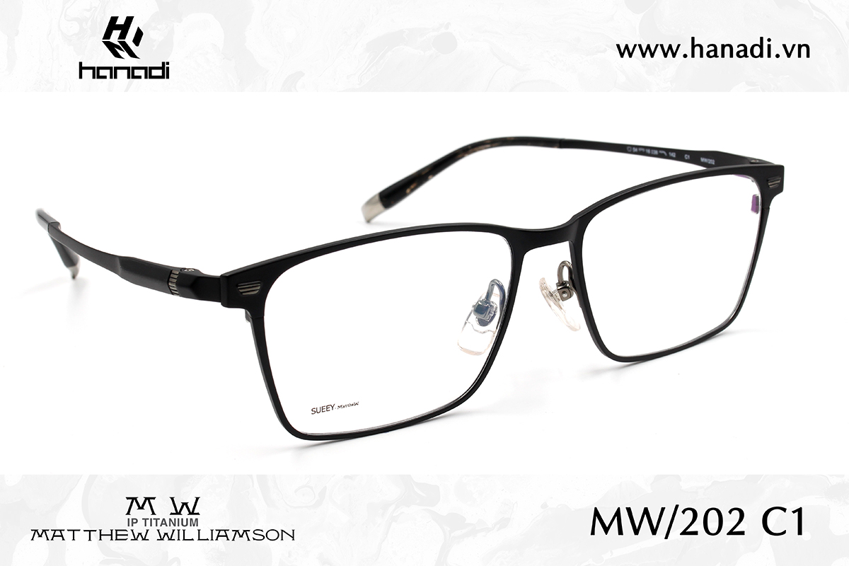 G. TITANIUM MATTHEW WILLIAMSON MW/202