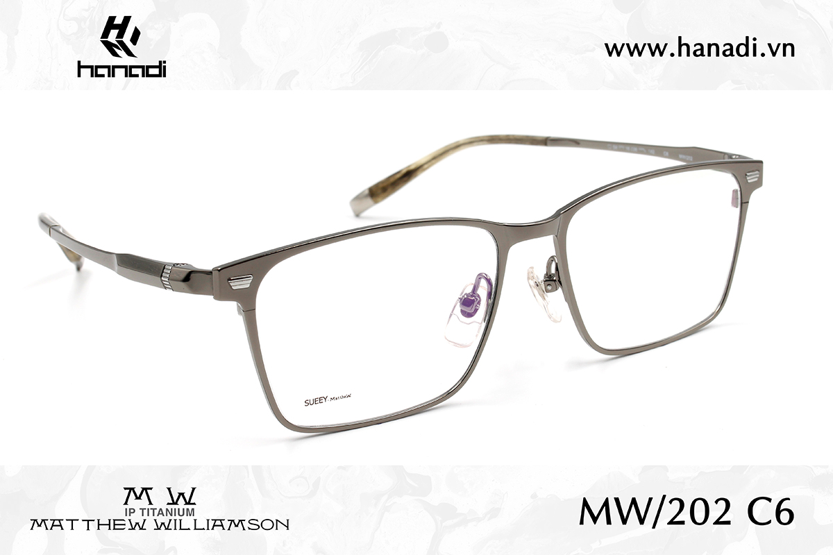 G. TITANIUM MATTHEW WILLIAMSON MW/202