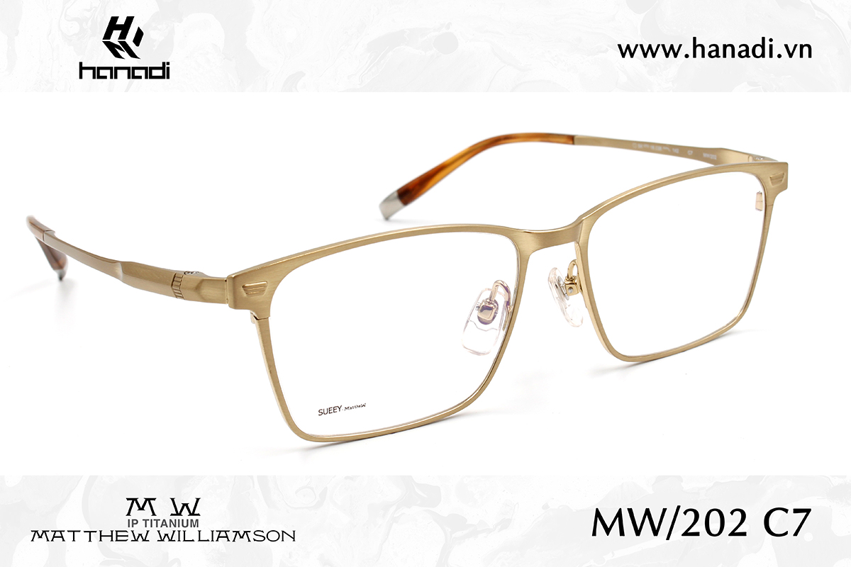 G. TITANIUM MATTHEW WILLIAMSON MW/202