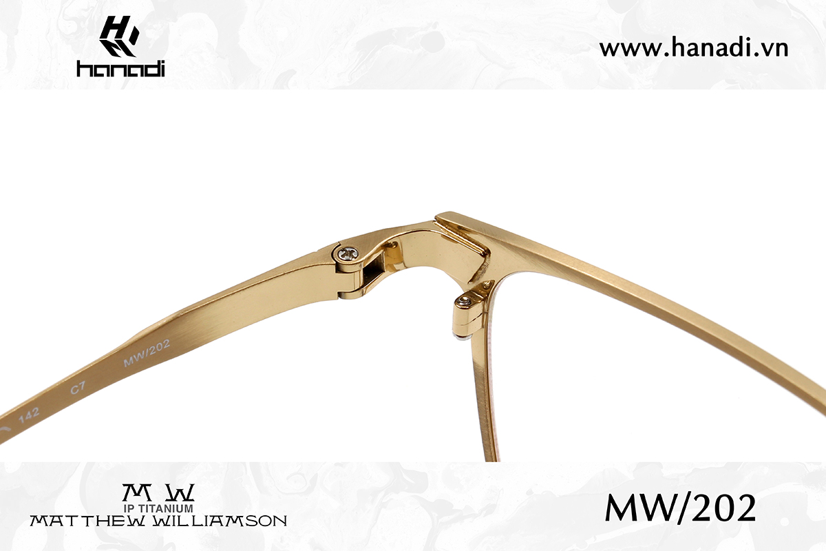G. TITANIUM MATTHEW WILLIAMSON MW/202