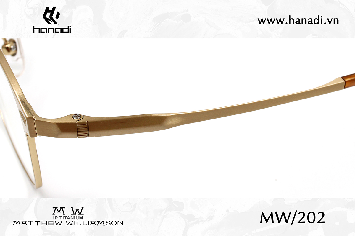 G. TITANIUM MATTHEW WILLIAMSON MW/202