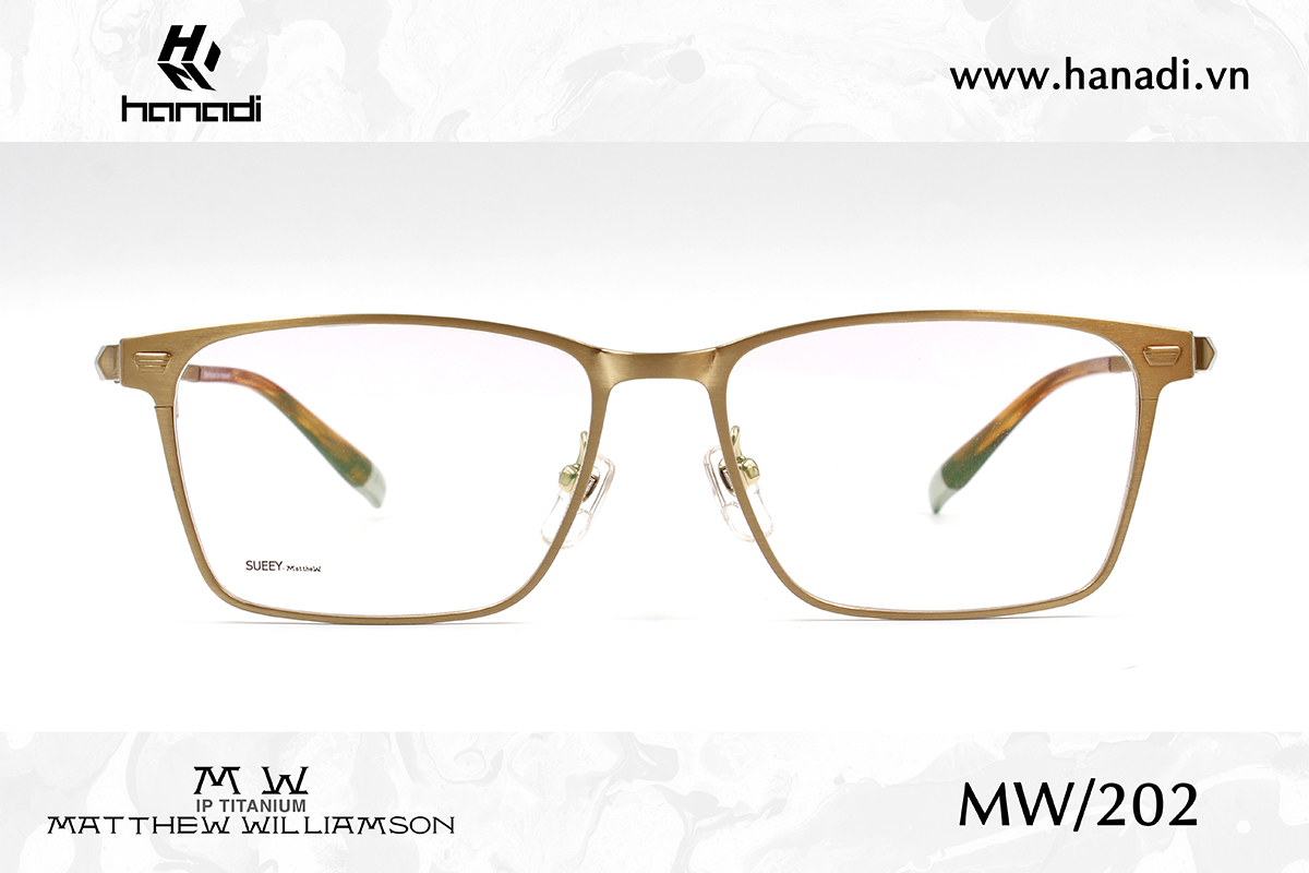 G. TITANIUM MATTHEW WILLIAMSON MW/202