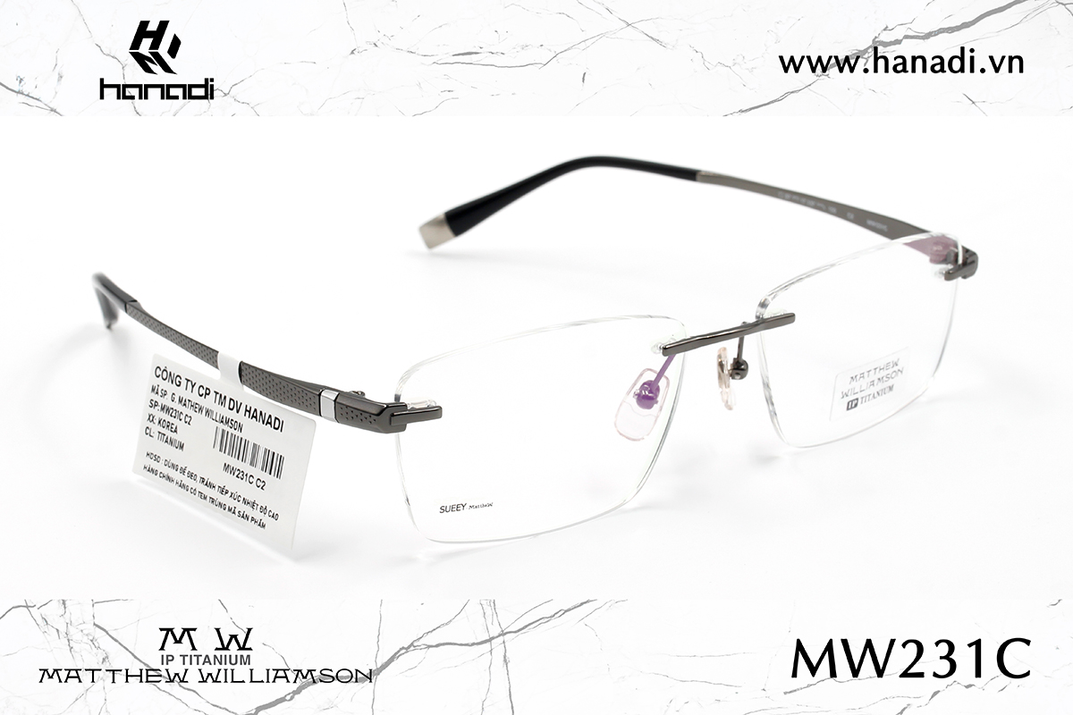 G. TITANIUM MATTHEW WILLIAMSON MW/231C