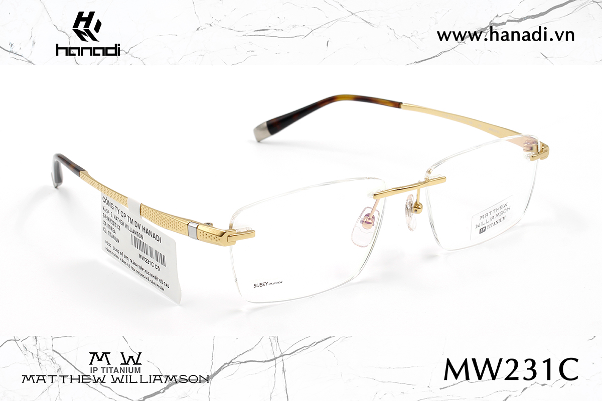 G. TITANIUM MATTHEW WILLIAMSON MW/231C
