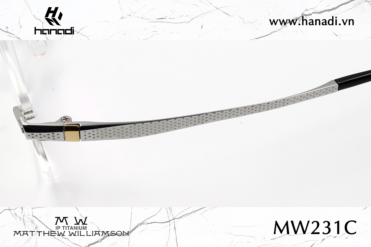 G. TITANIUM MATTHEW WILLIAMSON MW/231C