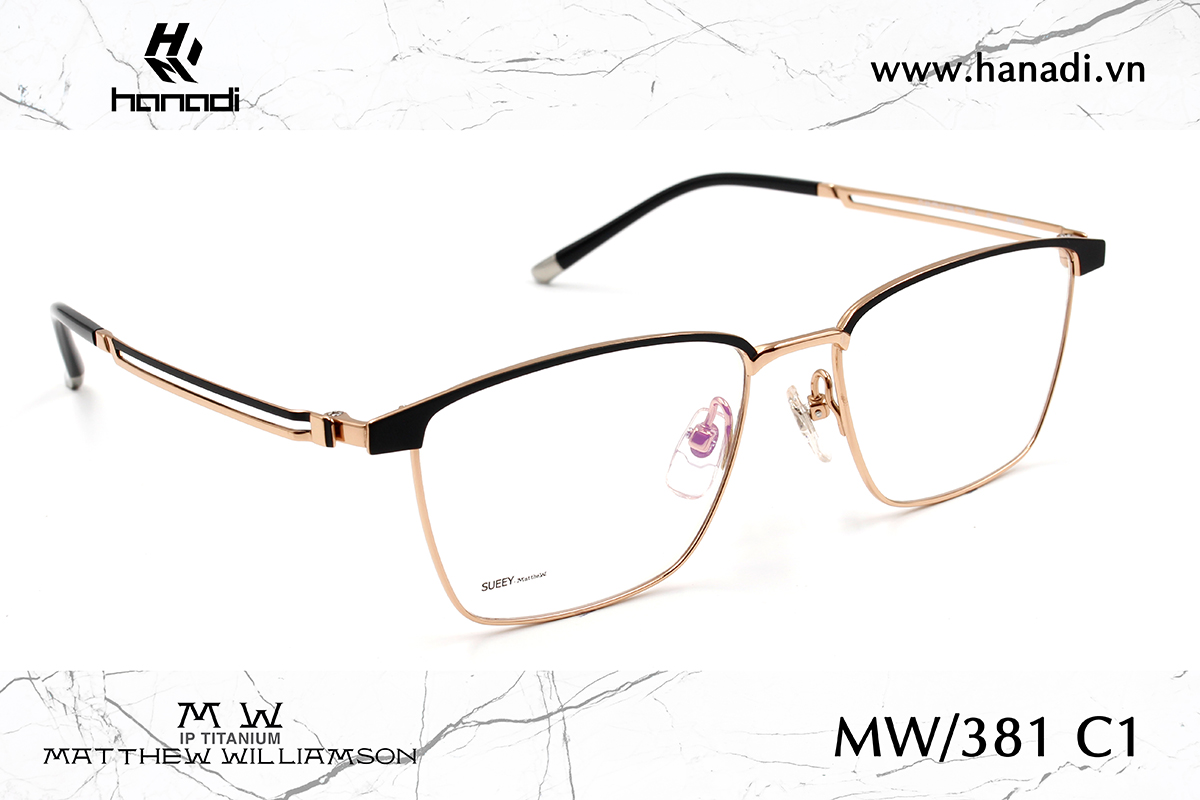 G. TITANIUM MATTHEW WILLIAMSON MW/381