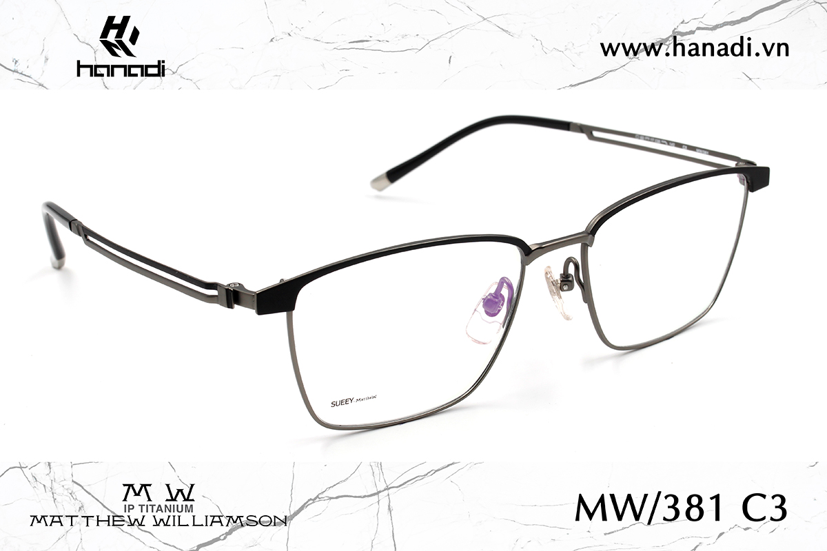G. TITANIUM MATTHEW WILLIAMSON MW/381